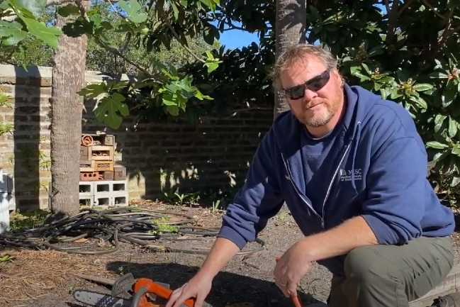 Andrew, MUSC Arborist getting ready to prune a citrus tree