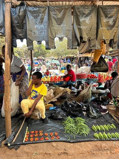 A picture of the WakaWaka Market just outside of Lilongwe.