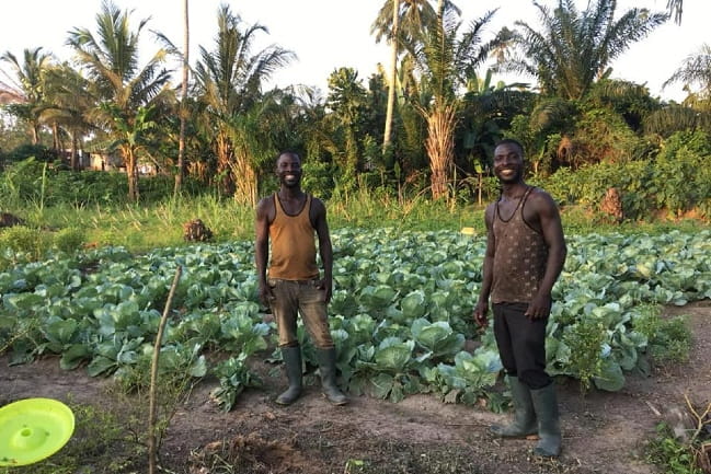 project-okurase-promotes-health-through-sustainable-farming-in-ghana