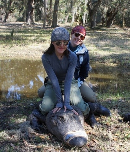 Two MUSC students conduct research on a crocodile in South Africa.