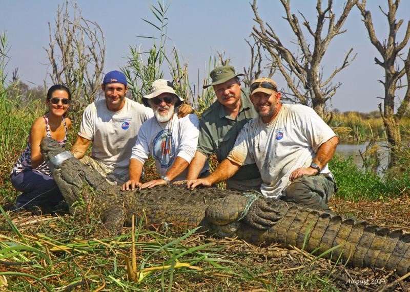 A group of researchers pose with an alligator.