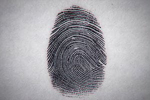 fingerprint screenshot