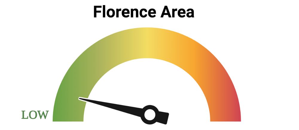 Florence Data