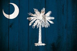 South Carolina sycle and palmetto in white against blue board background