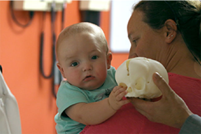 Caucasian baby touching 3D printed skull