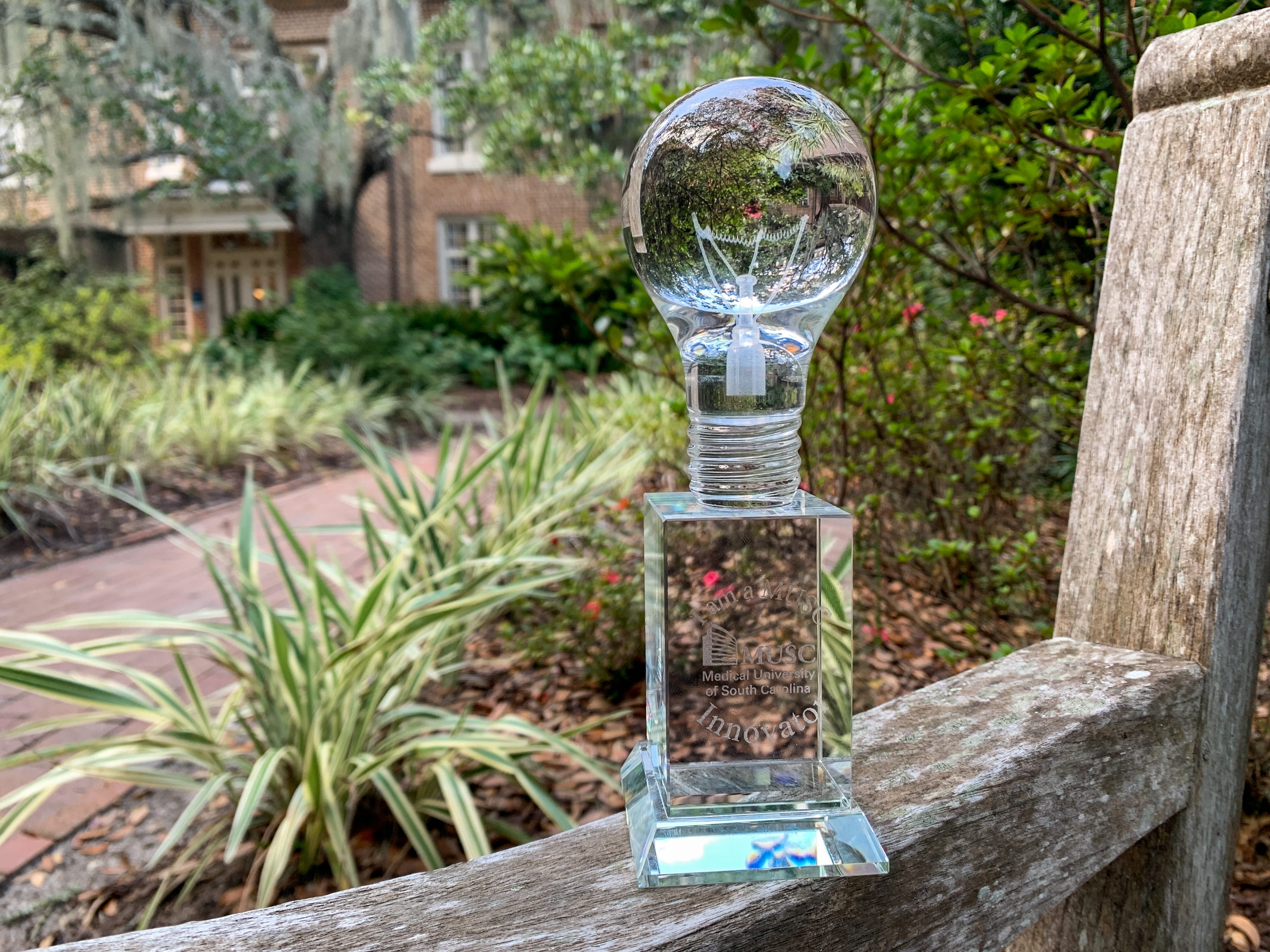 This is the lightbulb representing the I am an MUSC Innovator Award