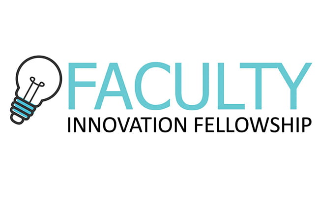 Faculty Innovation Fellowship