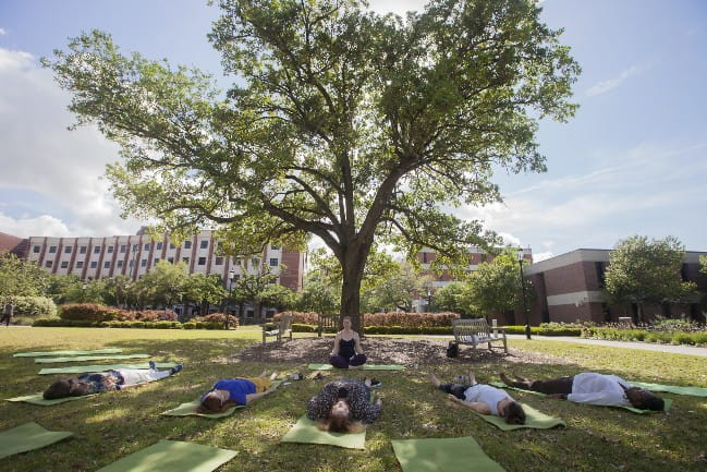 People doing yoga on campus next to a tree.