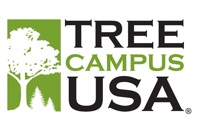 Tree Campus USA Logo 