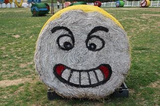 Smiling Bale of Straw