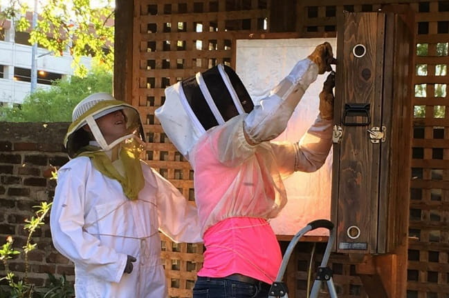 MUSC Urban Farm Bee Keeper Volunteers