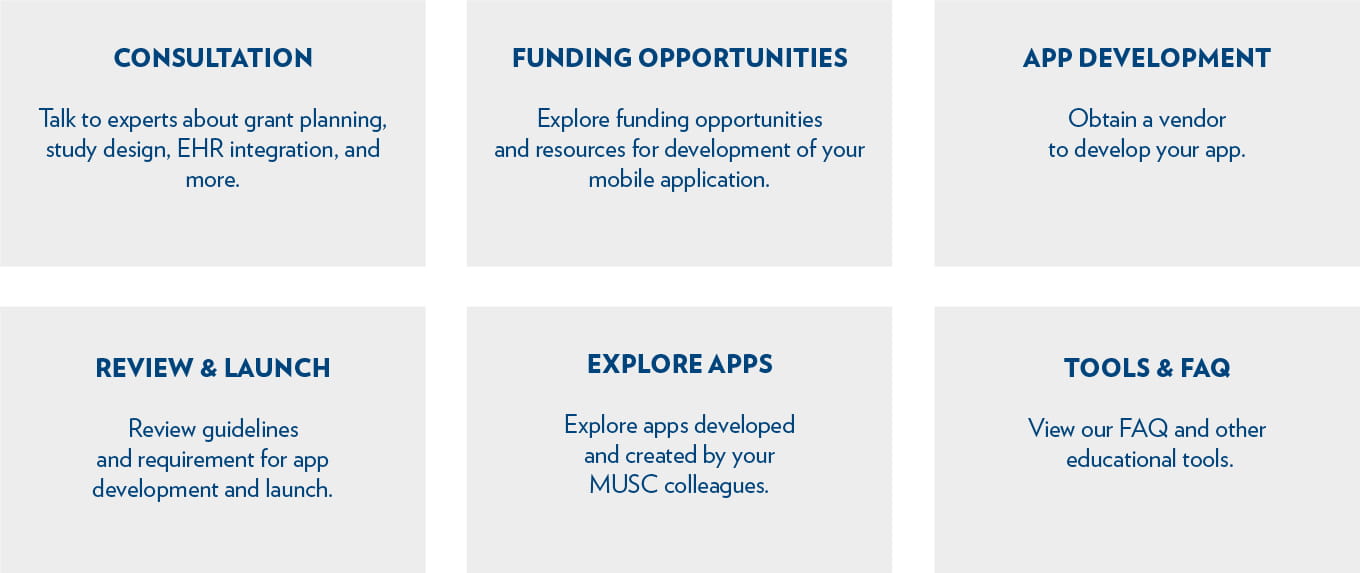Six boxes containing summary of the applications. The categories are: consultation, funding opportunities, app development, review & launch, explore apps, and tools & f&Q.