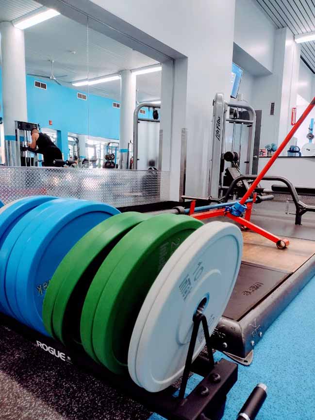 View of colorful weights