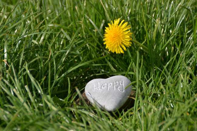 An image of a dandelion in the grass and next to it a heart-shaped rock with the word "happiness" engraved into it.