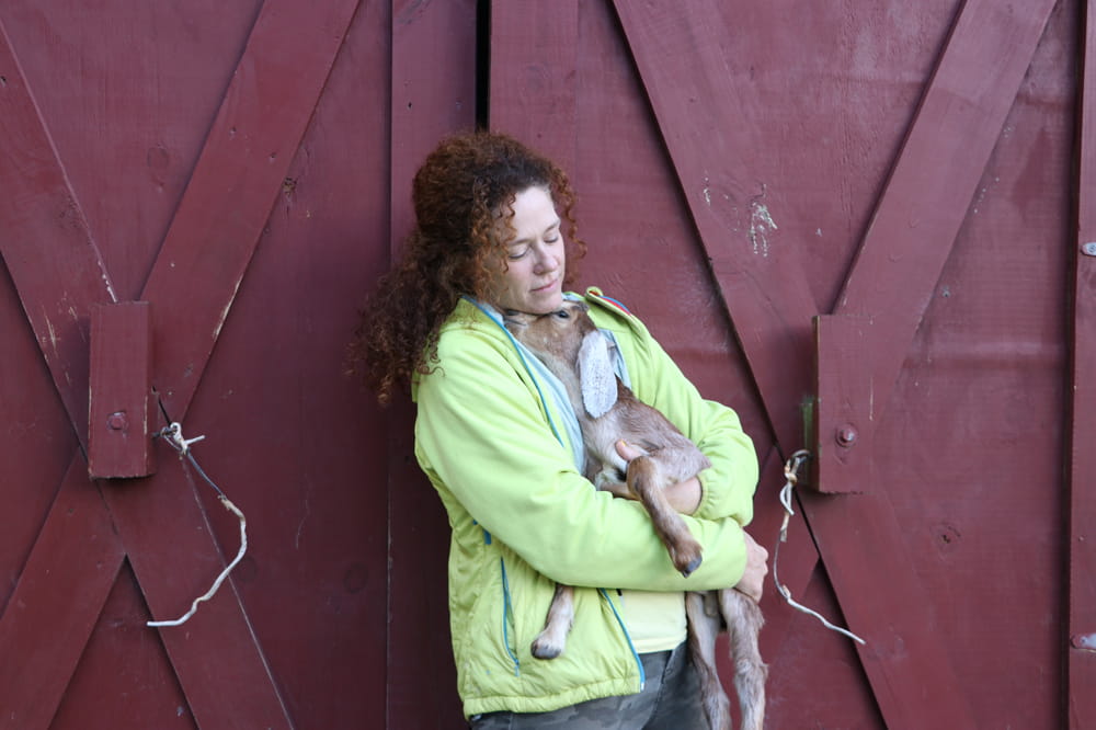 A person holding a goat in front of a barn. 
