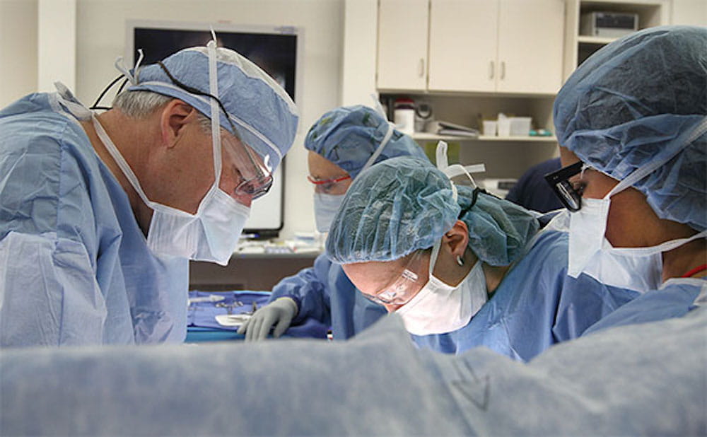 President Cole in surgery at MUSC