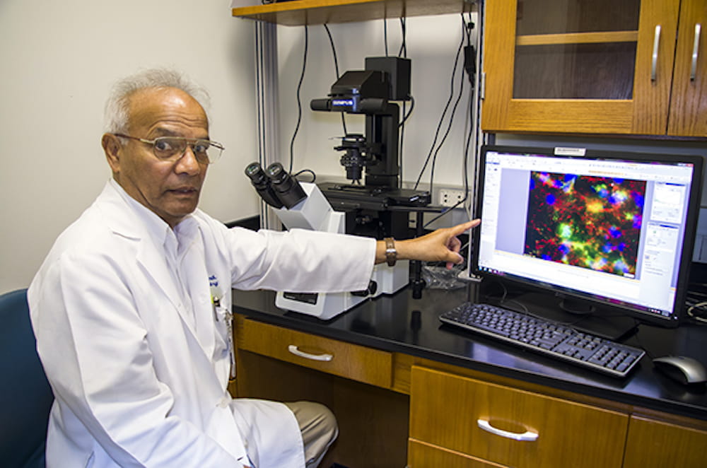 Dr. Narendra Banik is working on a new nanoparticle delivery method for estrogen