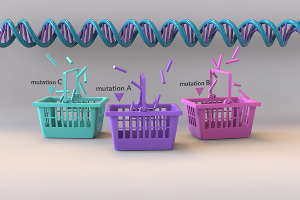 basket of all all basket studies, a national clinical trial is reshaping how cancer research is done