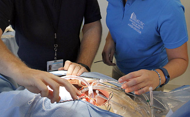A student examines a heart-lung model in the simulation lab