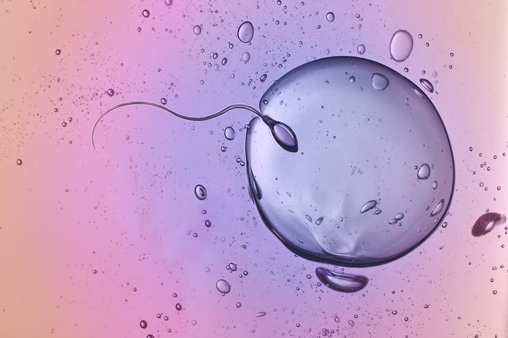 colorful closeup of sperm 