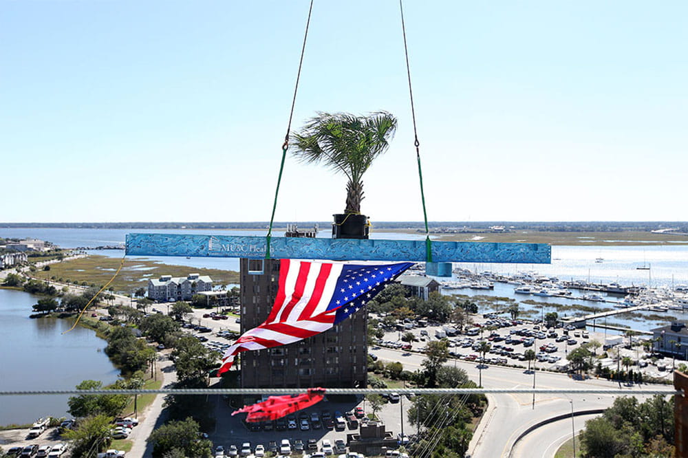 Blue beam draped in an American flag and holding a Palmetto tree