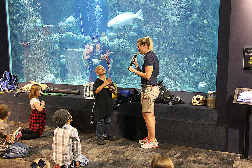 Ryan Tate learns about sharks during an educational talk at the South Carolina Aquarium