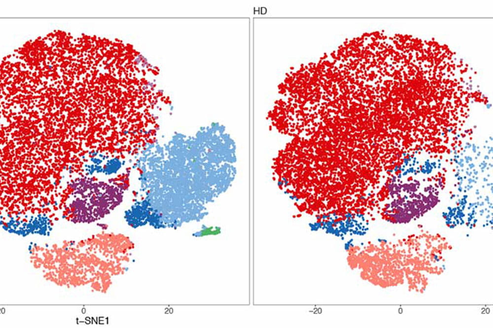 Using artificial intelligence and bioinformatics, researchers can create a two-dimensional mapping that can read test results, creating an Instagram of millions of blood cells.