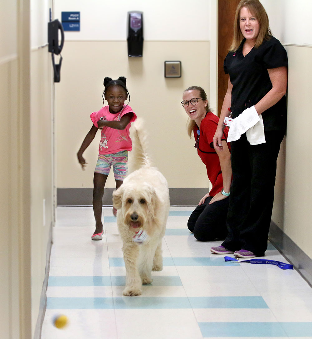 MUSC occupational therapist Ashley Romito, right kneeling, works with Katie Jenkins by having her catch a ball and then throw it for Macy while Macy's handler, Susan Hall, retrieves the ball from Macy.
