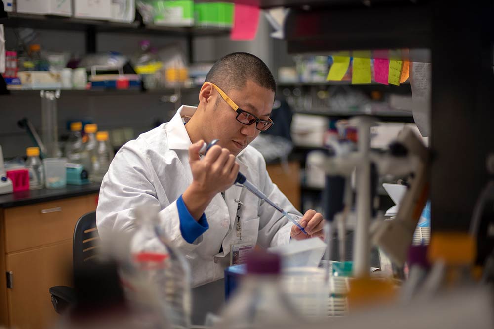 Zongyang Lv, Ph.D.