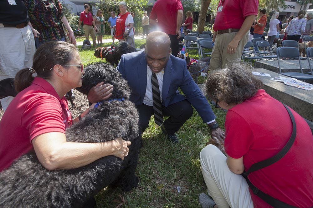 Reverend blesses several dogs