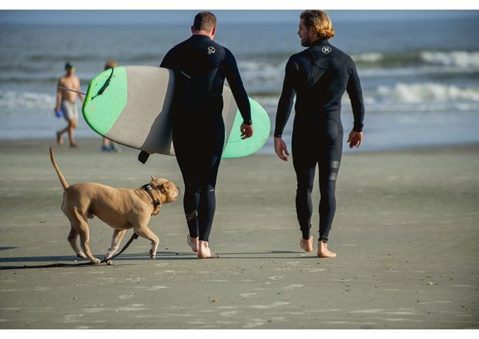 Veteran preparing to surf, coached by a Warrior Surf instructor. Photo courtesy of Warrior Surf Foundation.