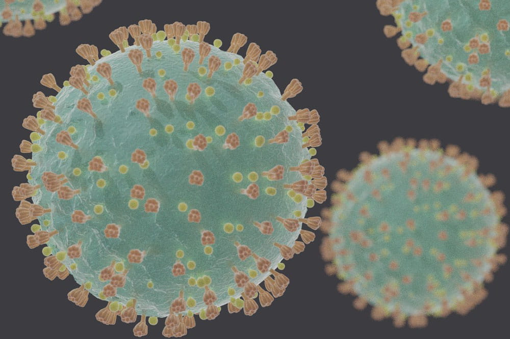 CDC image of the new coronavirus