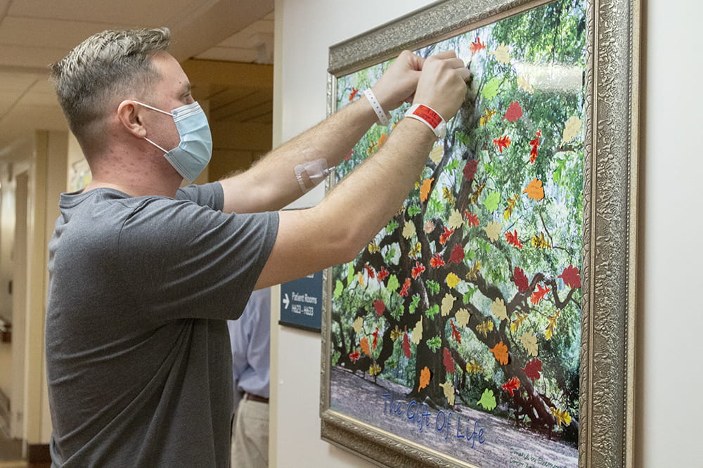 Kidney donor Zack Yasin puts a leaf on a picture of a tree.