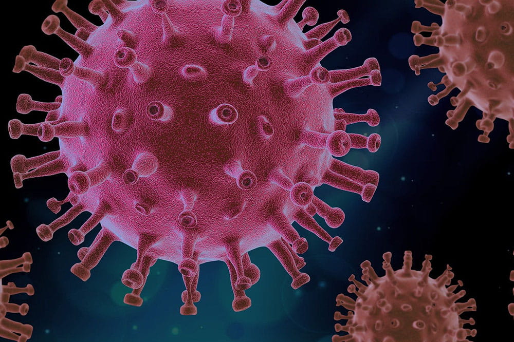 Illustration of the coronavirus that causes COVID-19.