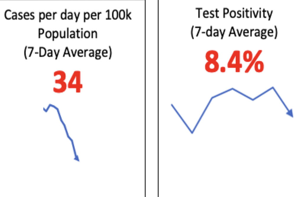 Graphs showing COVID cases down in Charleston county and an average test positivity rate of 8.4%.