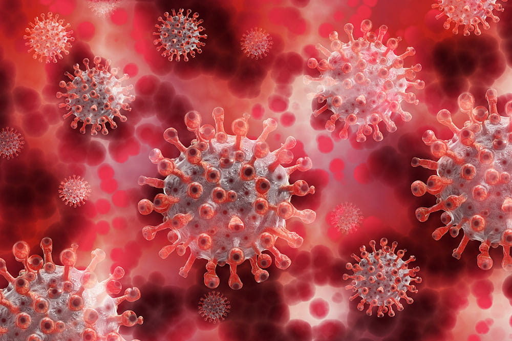 Illustration of the virus that causes COVID-19.