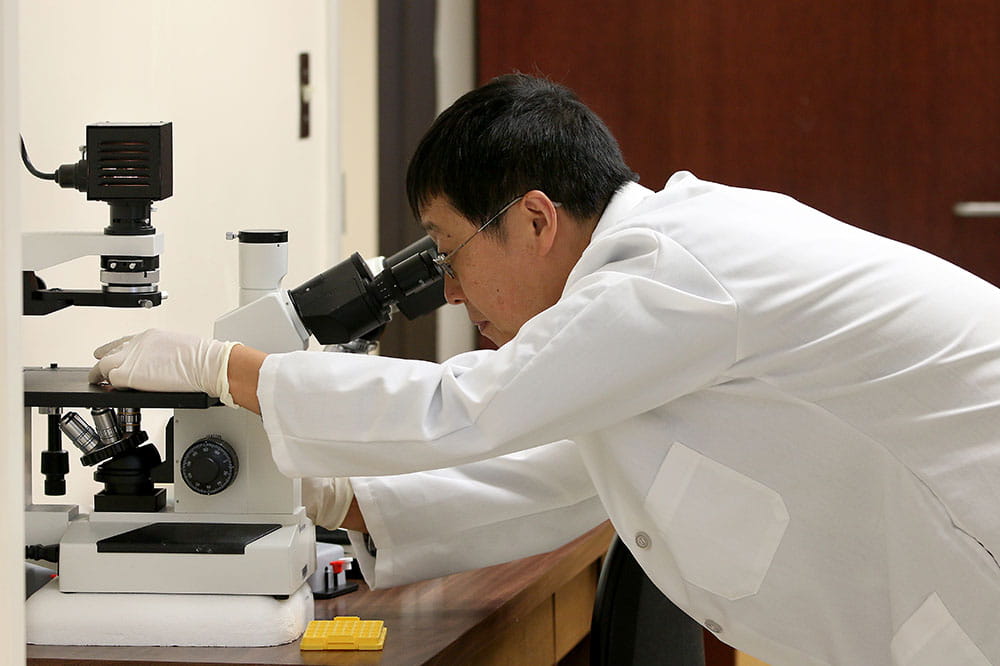 Dr. Xue-Zhong Yu looks into a microscope