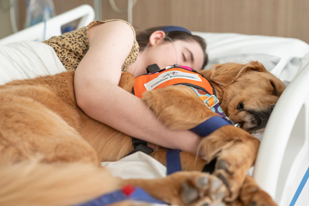 a girl lies in a hospital bed and snuggles with a large dog