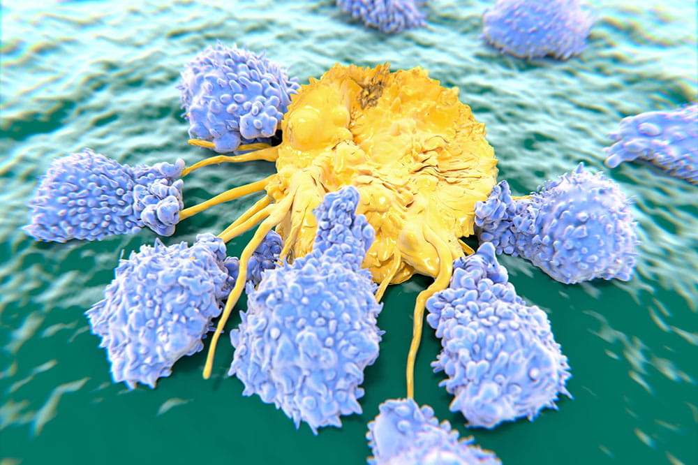 rendering of CAR-T-cells attacking and killing a cancer cell