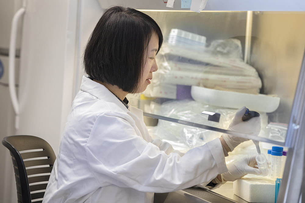 Dr. Wei Jiang, immunologist and associate professor in the Department of Microbiology and Immunology