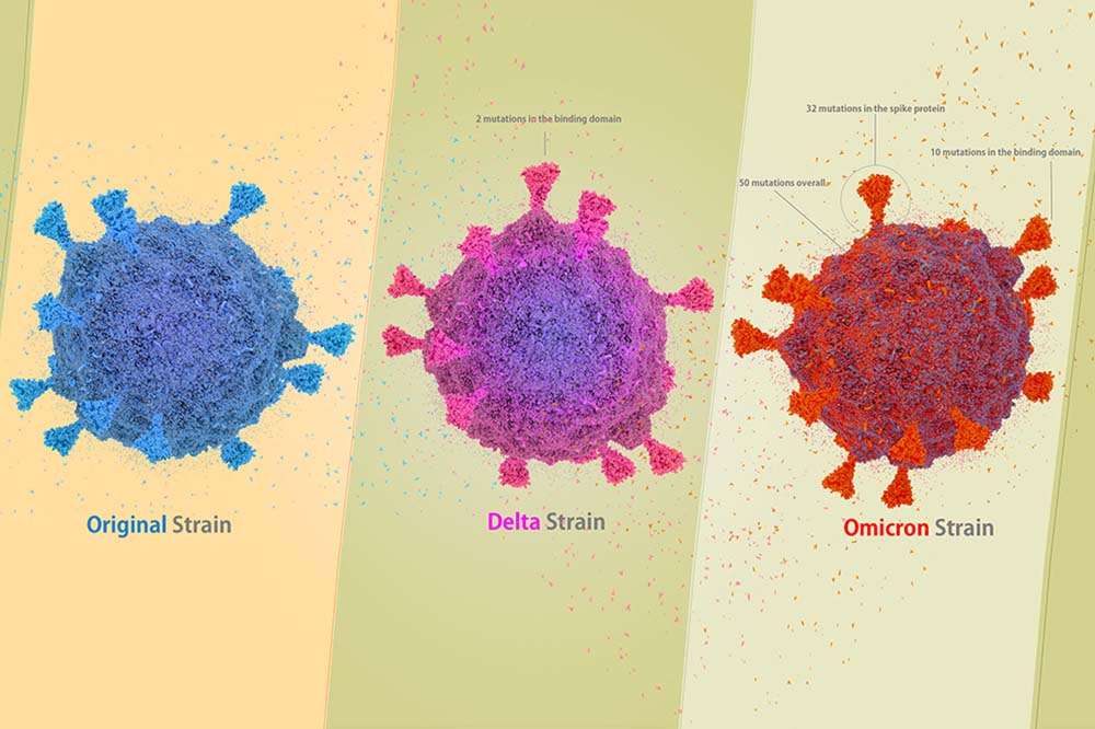 Blue virus particle shows original strain of coronavirus. Pink and purple version shows Delta. Red version shows Omicron.