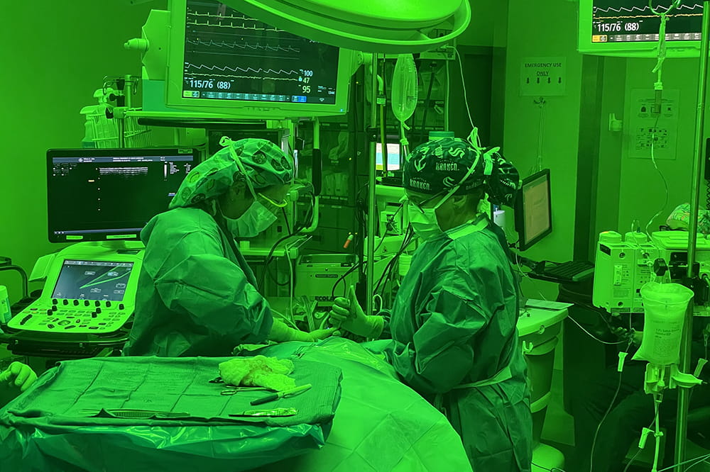 two female doctors stand on either side of a patient in a procedure room bathed in fluorescent green light