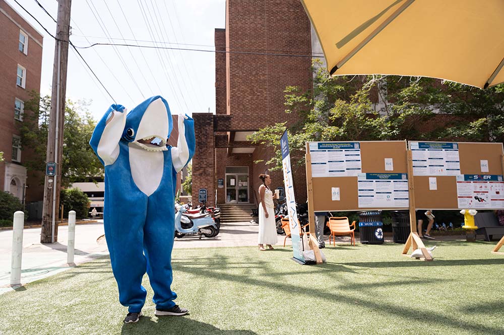 Person in a shark costume.