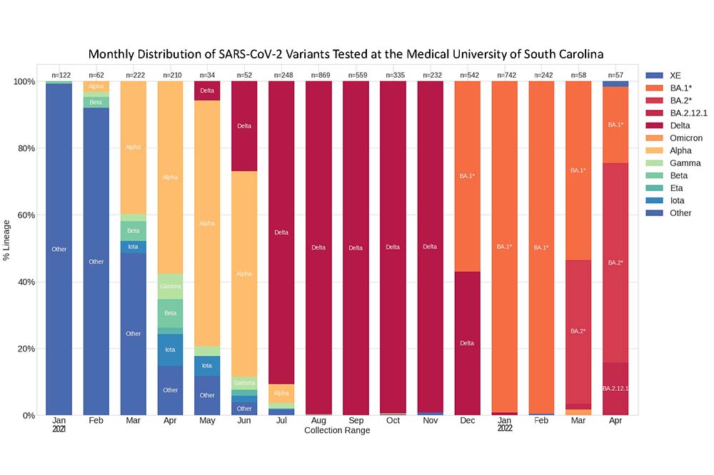Bar chart shows COVID variants at MUSC. The latest month included, April 2022, shows that all of that month's COVID samples were some form of Omicron.