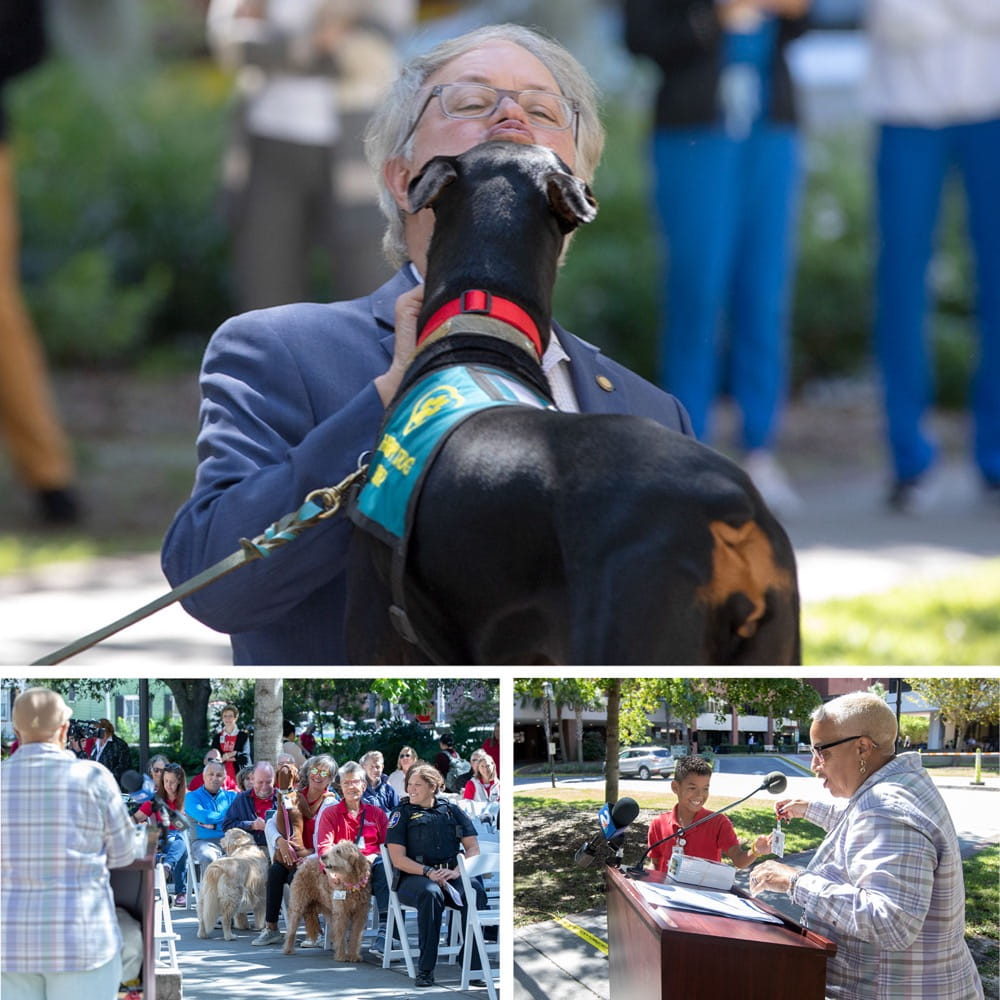collection of three photos, the top is the mayor being licked on the face by a dog, the second shows the crowd listening on as Cathy Bennett speaks from a podium outside and the third shows Bennett giving a badge to 10 year old Karim Azizi