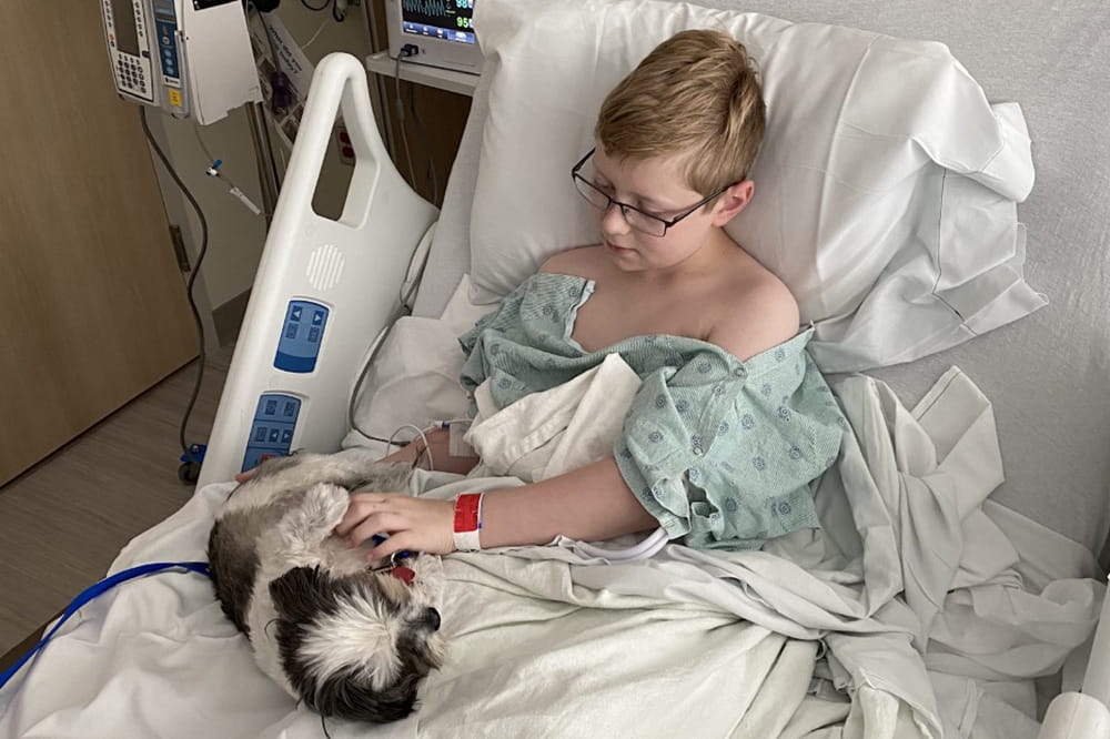 a boy in a hospital bed plays with a small dog on his bed