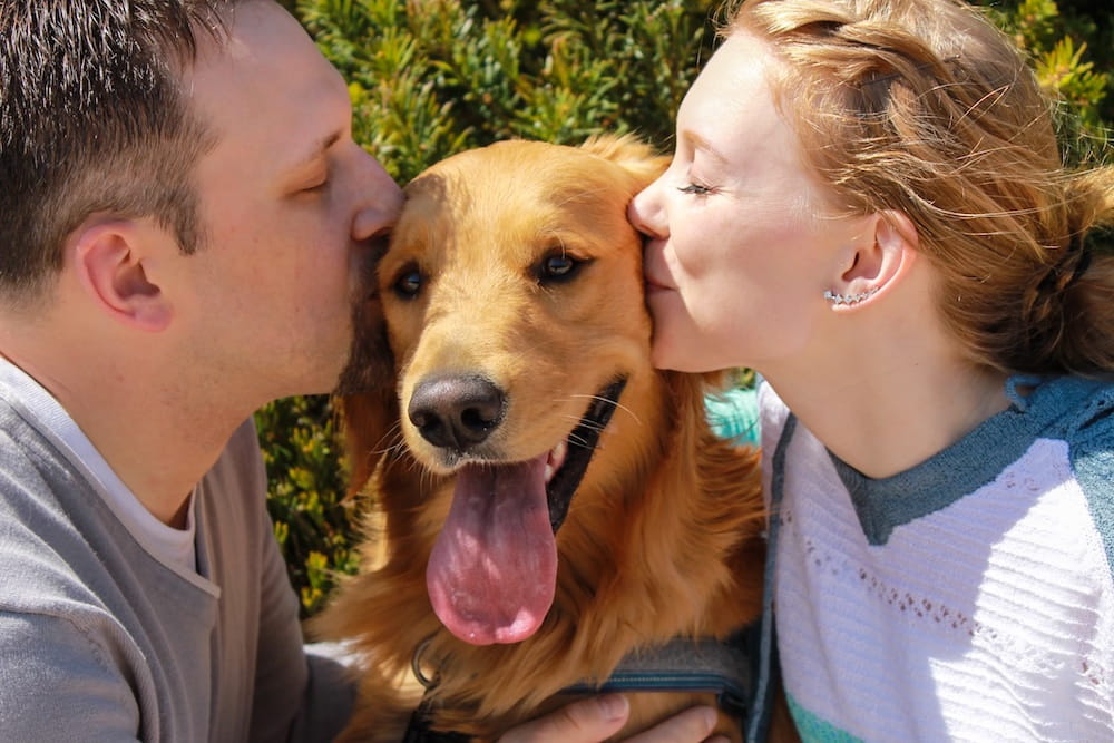 A man and a woman frame a golden retriever, kissing him on either side of his head