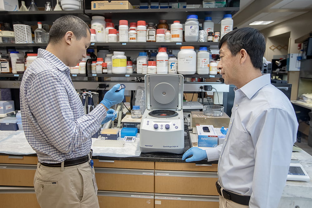 Drs. Li and Fan in their research lab at MUSC.