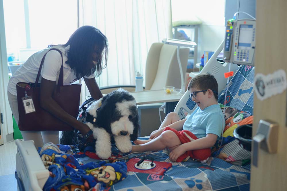 A woman with a shoulder bag brings a large fluffy black and white dog to a boy who's in a hospital bed.