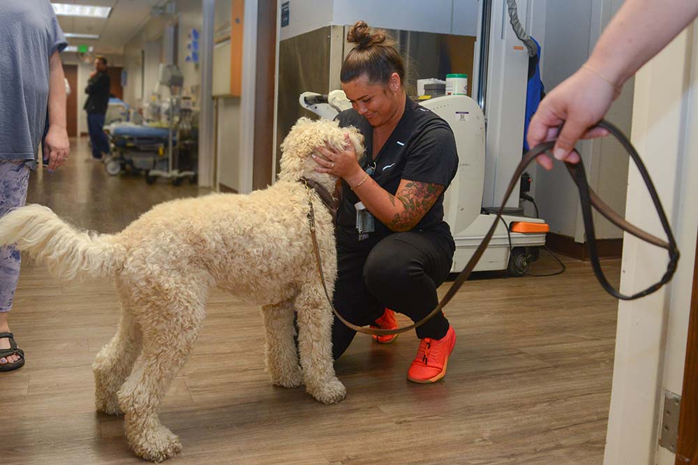 Woman in medical scrubs gets face to face with a fluffy dog.